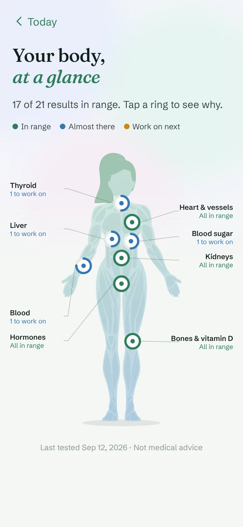 Body map for a woman: 17 of 21 results in range, thyroid, liver, blood sugar and blood almost there