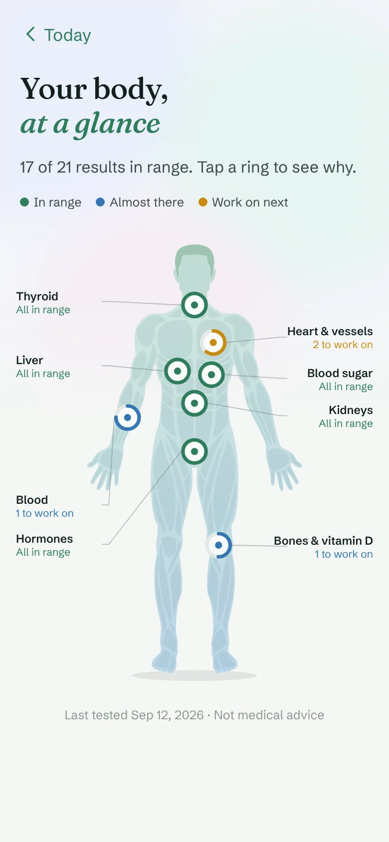 Body map for a man: 17 of 21 results in range, heart and vessels, blood, and bones and vitamin D to work on